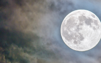 Full Moon in Gemini | Mrigasira Naksahtra